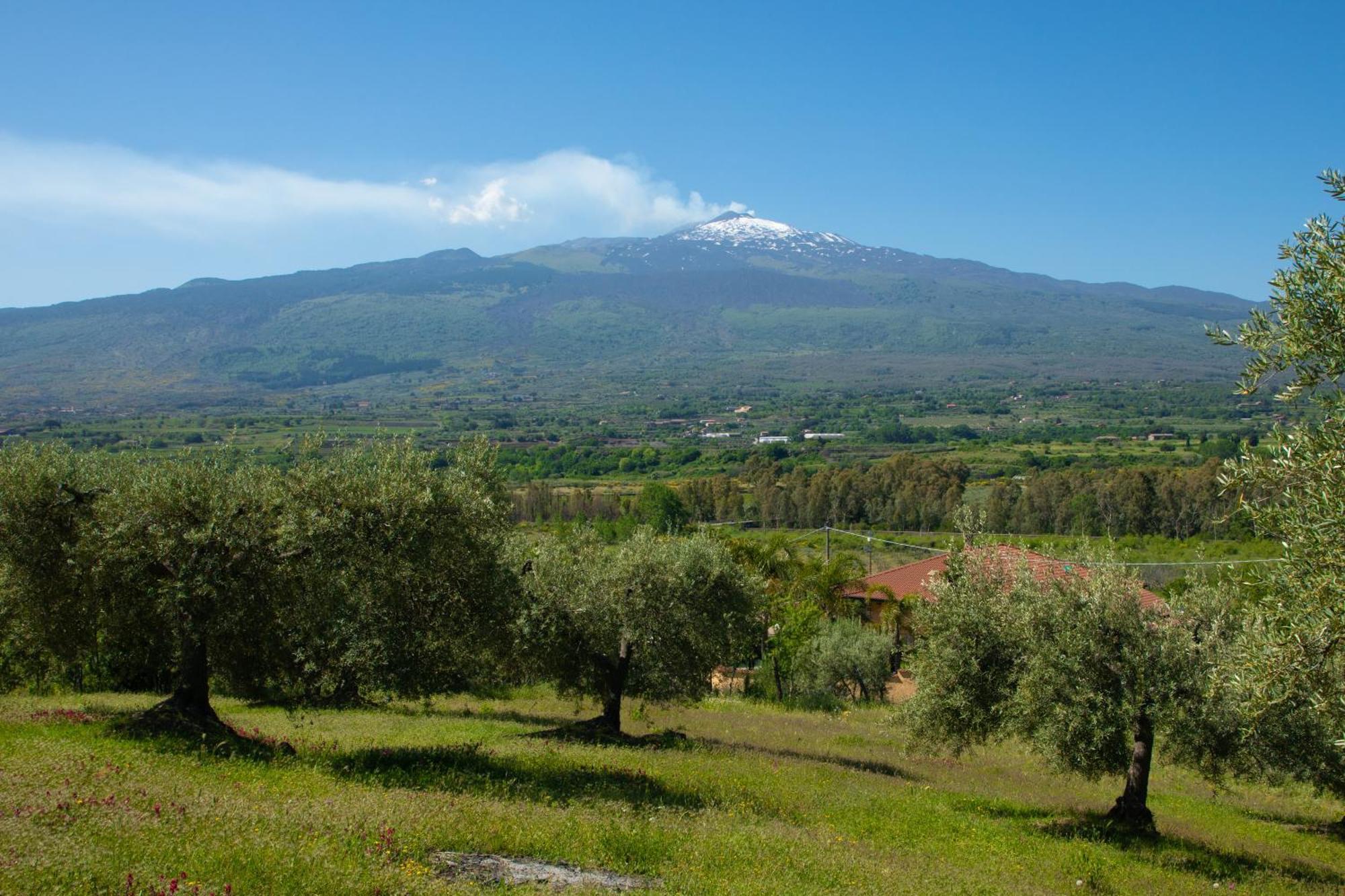 B&B Affittacamere Al Vulcanetto Moio Alcantara 외부 사진